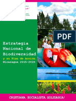 Estrategia Nacional 2015-2020 PDF