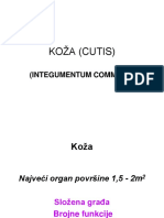 302573.radioloka Dijagnostika U Oralnoj Kirurgiji Diplomski Rad