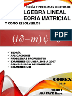 Codex 2019 Algebra Lineal Tomo I 1 PDF