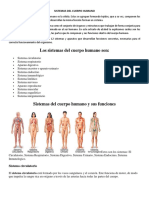 Sistemas Del Cuerpo Humano