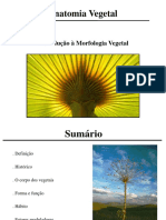 Aula 1 - Morfologia Vegetal PDF