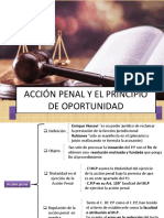 ACCION PENAL Y EL PRINCIPIO DE OPORTUNIDAD Final 1