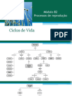 B2-3. Ciclos de Vida