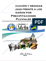 Informe - Pasco 2019 PDF