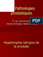 Pathologies Prostatiques