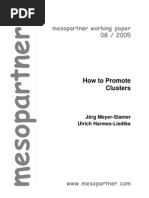 Mesopartner Working Paper 08 / 2005: How To Promote Clusters