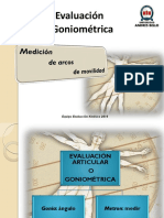 Goniometria MMSS - 2010