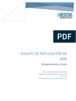 Ensayo de Replicación