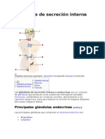 Sistema Endocrino 3