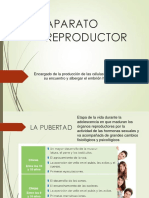 El Aparato Reproductor PDF