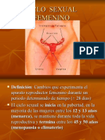 Ciclo Sexual Femenino 1221175409619246 9 PPT Share)