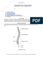 Anatomia Columna Vertebral