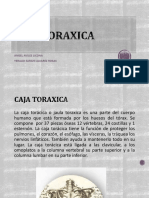 Caja Toraxica