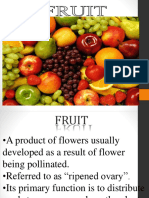 Fruit Biology PDF