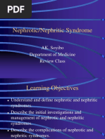 Nephrotic/Nephritic Syndrome: AK. Soyibo Department of Medicine Review Class