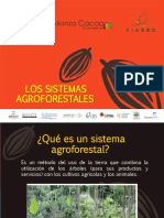 Los Sistemas Agroforestales