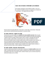 Partes Del Oído Que Nos Ayudan A Percibir Los Sonidos