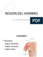 Región Del Hombro - 20190313214733