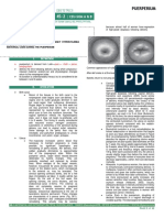 Puerperium and Analgesia