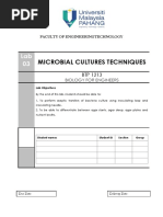 Lab 03 Microbial Cultures Techniques