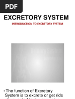 Introduction To Excretory System