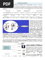 Actividades Cisco