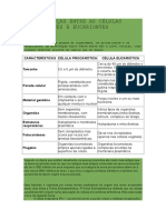 As Diferenças Entre As Células Procariontes e Eucariontes