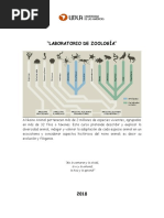 Guía de Trabajo en Laboratorio de Zoología PDF