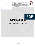 Apostila Amafeto Seletivo 2018 PDF