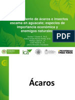 Acaros y Escamas Curso Mayordomos Corpoaguacate 5-Sep 2011 PDF