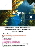 Biologia PPT - Algas I