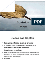 Biologia PPT - Aula 9 - Repteis