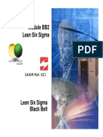 02 - Lean Six Sigma PDF