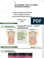 Anatomia de La Pared Abdominal, Pelvis y Arf - Ginecologia - 1 Tema.