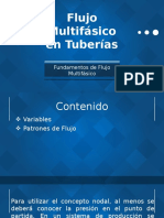 Fundamentos de Flujo Multifásico