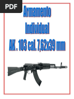 Armamento Individual