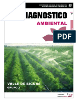 Diagnostico Ambiental PDF