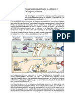 Procesamiento y Presentacion Del Antigeno Al Linfocito T