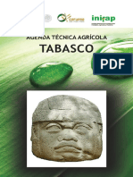 Agenda Técnica Tabasco OK