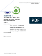 Report 4: Practical 4: Enzymes