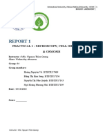 Report 1: Practical 1: Microscopy, Cell Observation & Osmosis