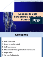 Cell Structures and Their Functions