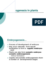 10 Embryogenesis