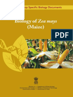 Biology of Maize PDF