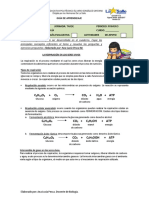 Taller de Respiración en Seres Vivos