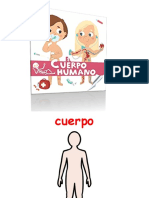 Categoria Semantica Partes Del Cuerpo Humano