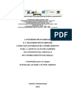 UFBA - DOUTORADO AMÉRICO SOMMERMAN - Vol. I PDF