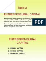 Topic 3 Entrepreneurial Capital