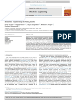 Metabolic Engineering of Pichia Pastoris