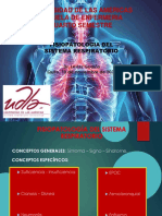 Fisiopatologia Del Sistema Respiratorio